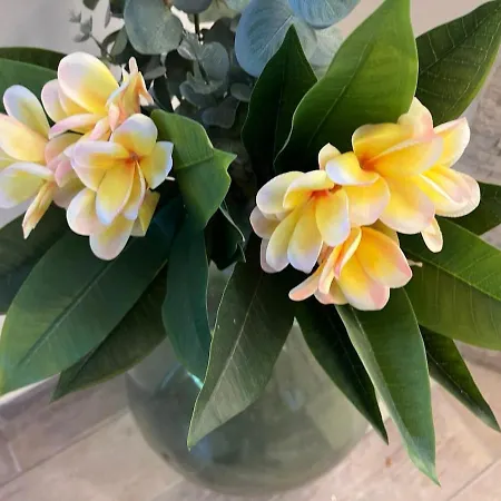 Plumeria Place Bright And Spacious Hébergement de vacances Larnaca