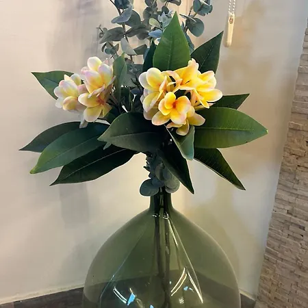 Plumeria Place Bright And Spacious Larnaca