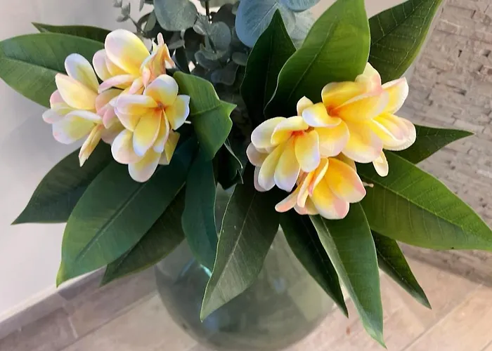 Plumeria Place Bright And Spacious בית נופש לרנקה